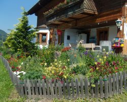 SAMSUNG DIGITAL CAMERA